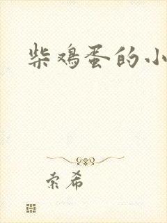 柴鸡蛋的小说