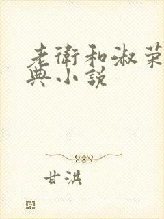 老卫和淑荣的经典小说