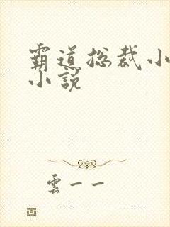 霸道总裁小娇妻小说