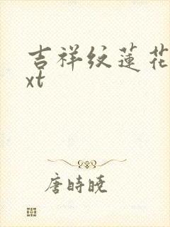 吉祥纹莲花楼txt