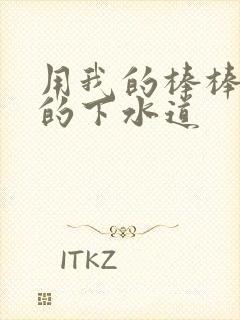 用我的棒棒通你的下水道