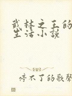 武林之王的退隐生活小说