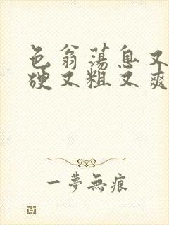 色翁荡息又大又硬又粗又爽电影