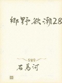 乡野欲潮28章