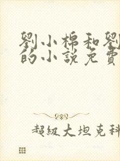 刘小棉和刘易文的小说免费阅读