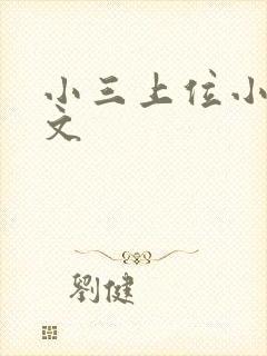 小三上位小说全文