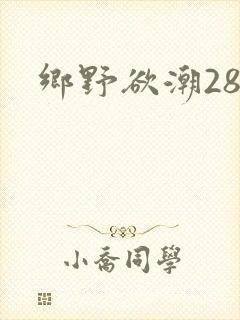 乡野欲潮28章