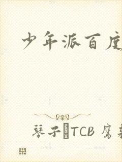 少年派百度百科