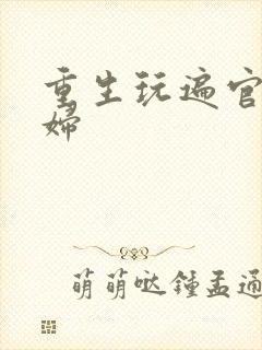 重生玩遍官场贵妇