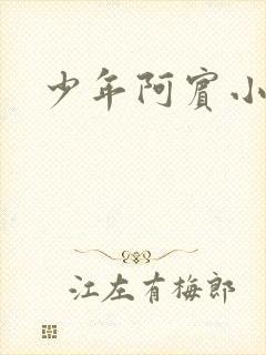 少年阿宾小说