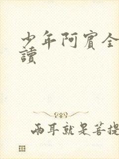 少年阿宾全集阅读