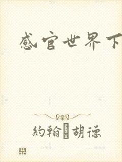 感官世界下载