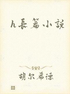 h长篇小说