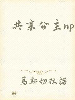 共享公主npc