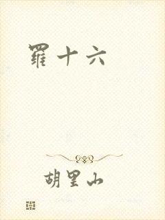 罗十六
