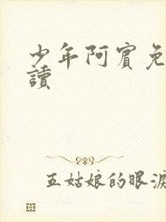 少年阿宾免费阅读