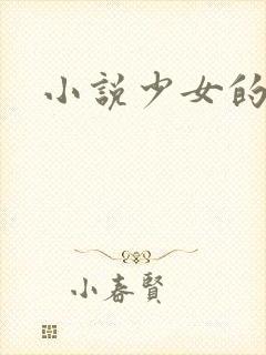 小说少女的心