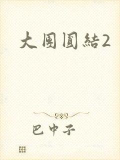 大团圆结2