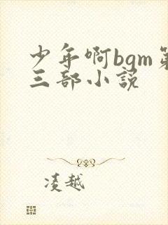 少年啊bgm第三部小说