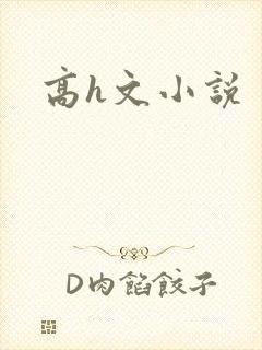 高h文小说