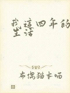 我这四年的奴隶生活