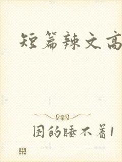 短篇辣文高h
