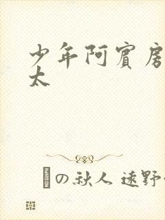 少年阿宾房东太太