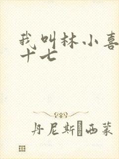 我叫林小喜今年十七