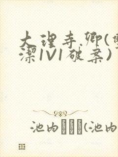 大理寺.卿(双洁1V1破案)