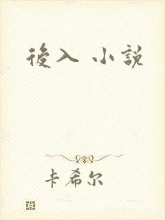 后入 小说