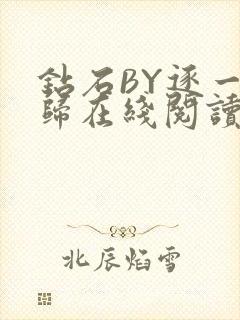 钻石BY逐一而归在线阅读