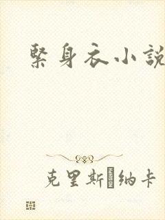 紧身衣小说