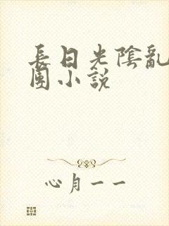 长日光阴乱作一团小说