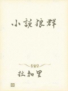 小说狼群