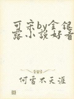 可宋by金银花露小说好看吗