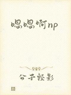 嗯嗯啊np