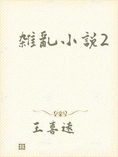 杂乱小说2
