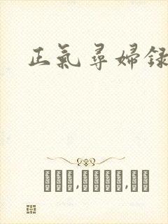 正气寻妇录
