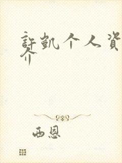 许凯个人资料简介