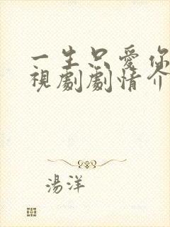 一生只爱你 电视剧剧情介绍