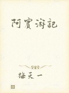 阿宾游记