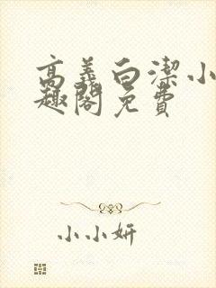 高义白洁小说笔趣阁免费