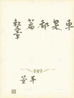 整篇都是车的文章