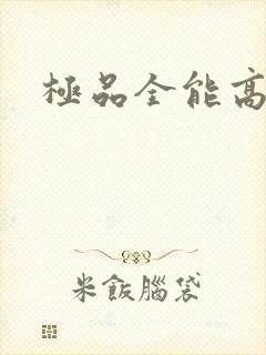 极品全能高手
