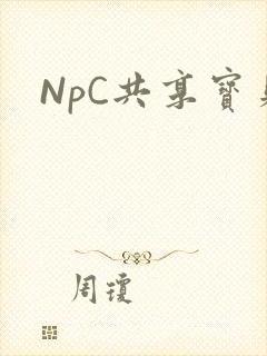 NpC共享宝贝