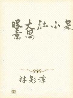 眼大肚小是什么意思