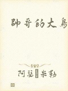 帅哥的大鸟