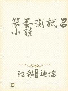 笨蛋测试召唤兽小说