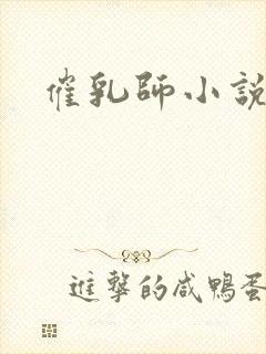 催乳师小说