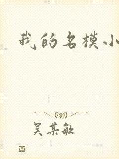 我的名模小娇妻